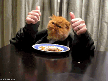 4171b2a2-ef34-4cad-a7e1-050136938b6c1